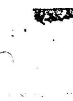 img-8.jpeg