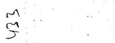 img-0.jpeg