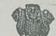 img-0.jpeg