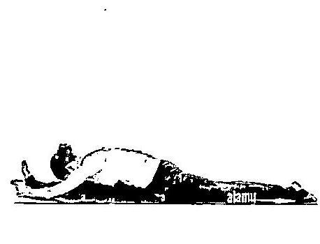 img-10.jpeg