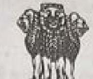 img-13.jpeg