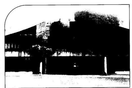 img-13.jpeg