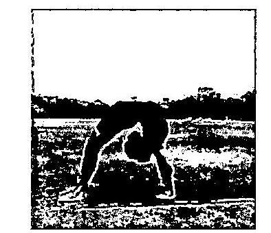 img-19.jpeg