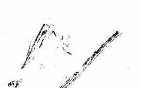 img-2.jpeg