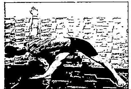 img-21.jpeg