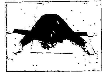 img-23.jpeg