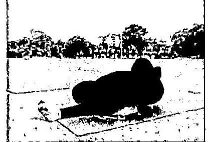 img-24.jpeg
