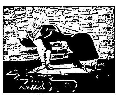 img-29.jpeg