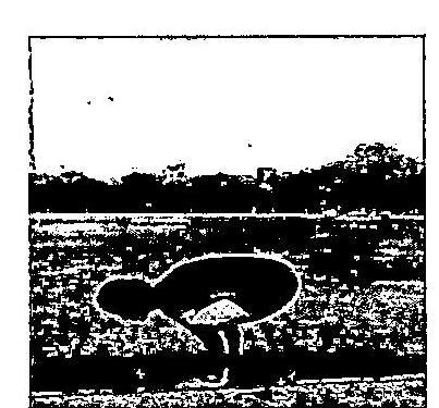 img-4.jpeg