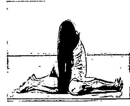 img-5.jpeg