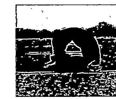 img-6.jpeg